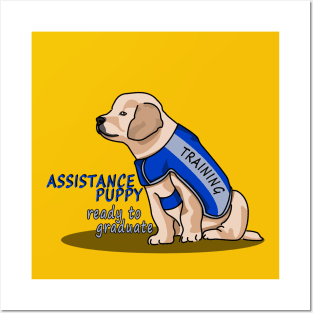 Assistance Puppy Ready to Graduate: Golden Retriever Cutie Posters and Art